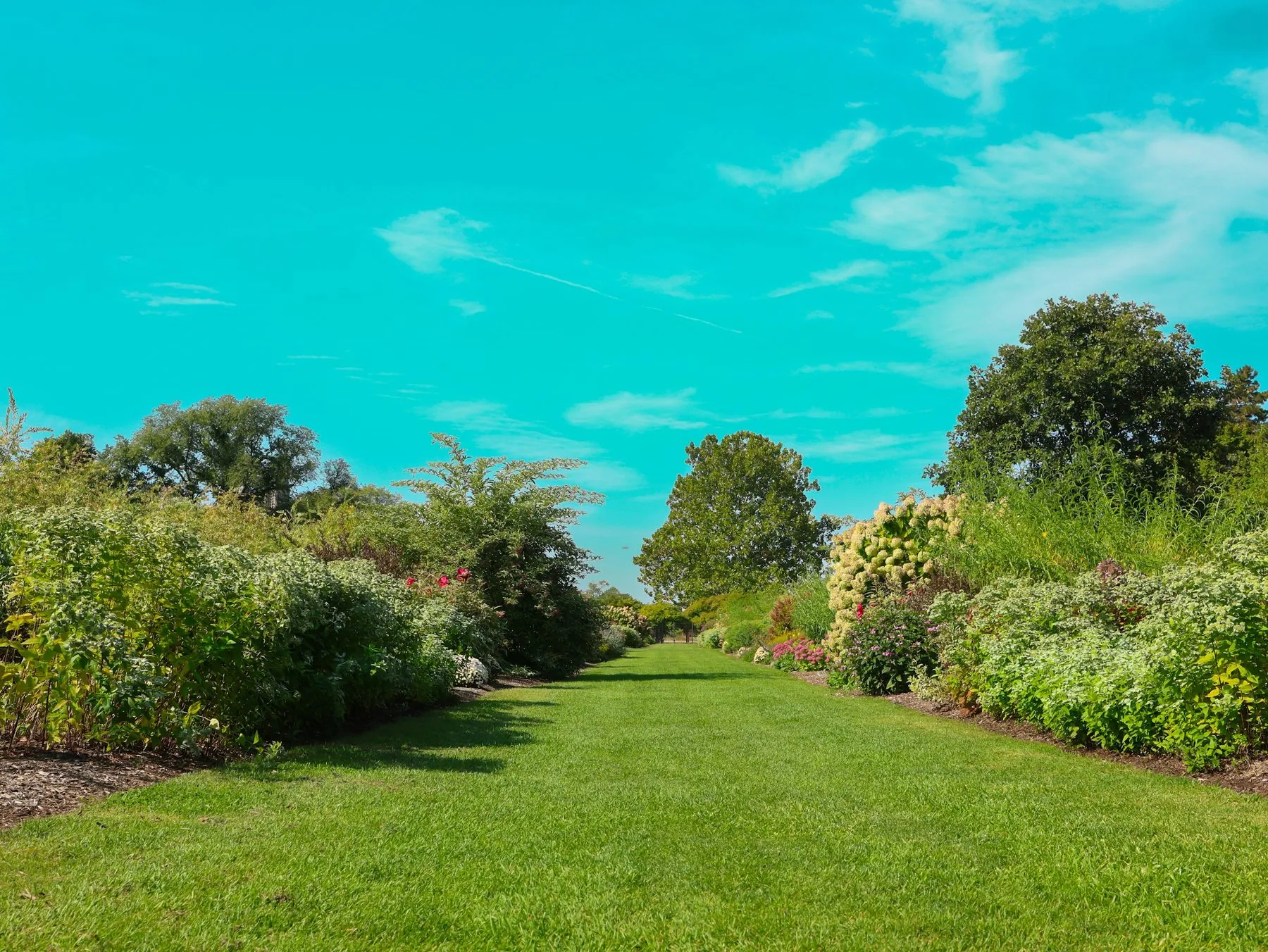 Lush green lawn leading through a vibrant garden